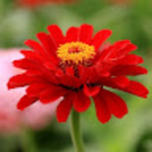 Meet your Posher, Klansy